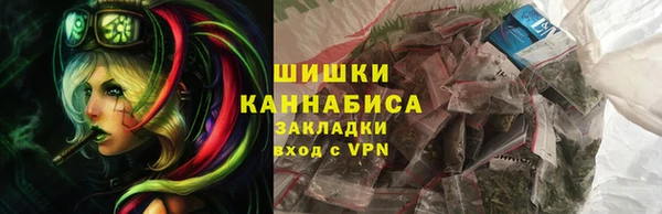 мяу мяу мука Гусь-Хрустальный