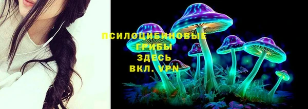 мяу мяу мука Гусь-Хрустальный