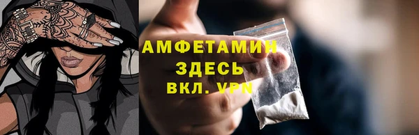 трава Гусиноозёрск