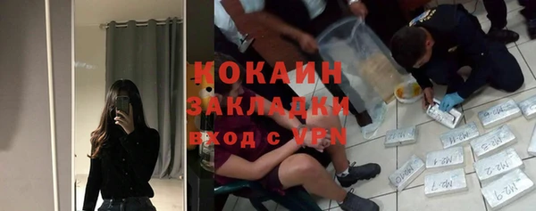 мяу мяу мука Гусь-Хрустальный