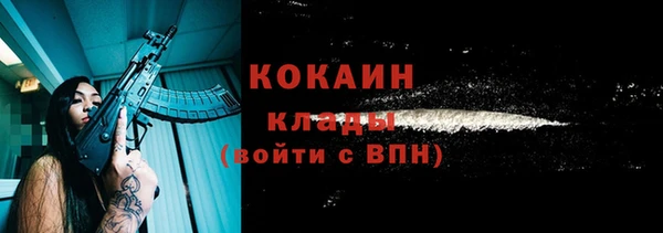 мяу мяу мука Гусь-Хрустальный