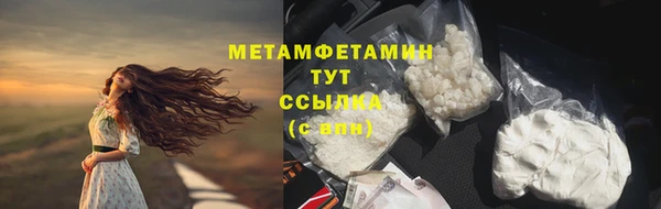 трава Гусиноозёрск
