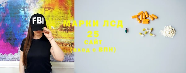 трава Гусиноозёрск
