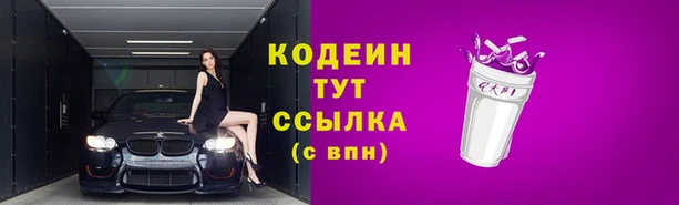мяу мяу мука Гусь-Хрустальный