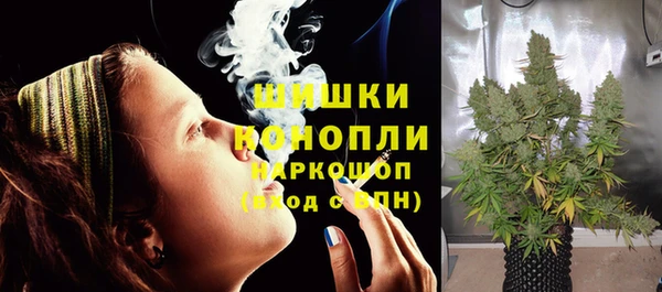мяу мяу мука Гусь-Хрустальный