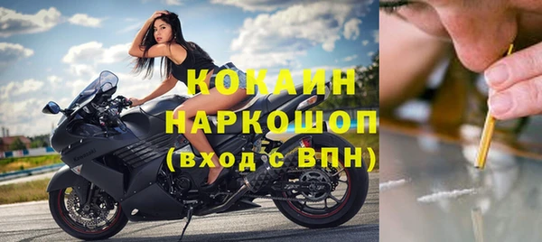 мяу мяу мука Гусь-Хрустальный