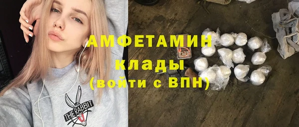 трава Гусиноозёрск