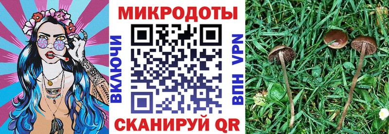 Галлюциногенные грибы ЛСД Купить Енисейск